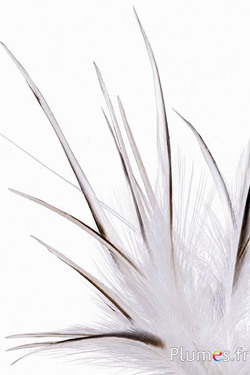 Reiher - 13-16 cm - naturweiss-creme-grau